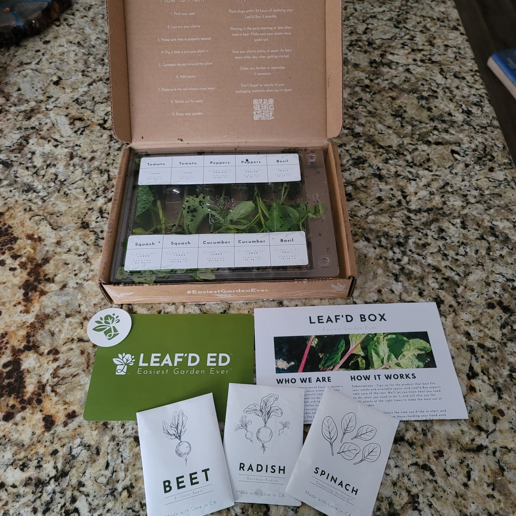 The ABCD Diaries with a Leaf'd Box Starter Garden!