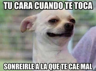 imagenes para whatsapp, frases de risa, chistosas, divertidas, graciosas para whatsapp imagenes para whatsapp, frases de risa, chistosas, divertidas, graciosas para whatsapp