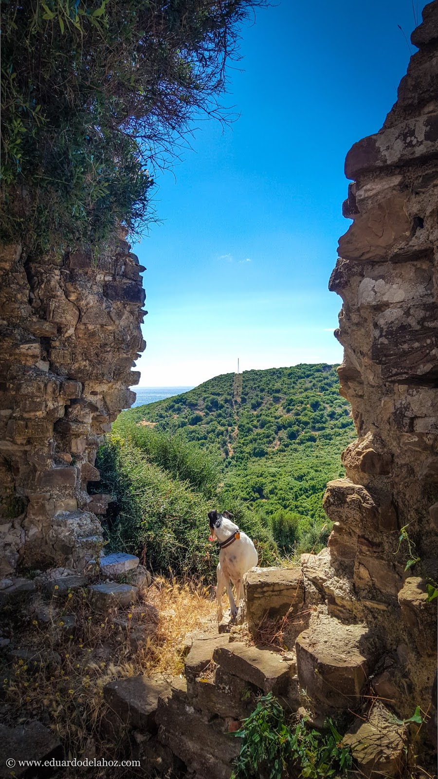 La Torre del Arroyo del Lobo, en Getares, Algeciras.