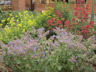 mayo 2012 | En torno al huerto.