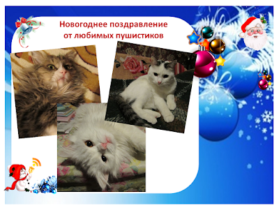 Блог Кота Васьки Новогодние коты