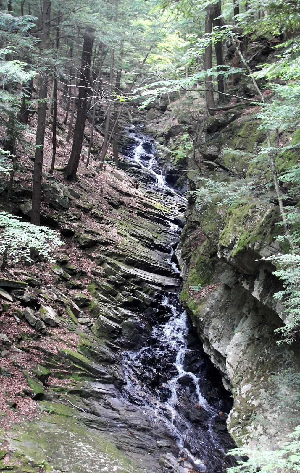 It Just Comes Naturally New Hampshire Day 5. Chesterfield and On Home