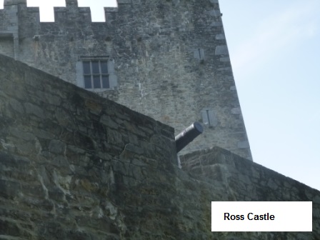 Ross Castle in Killarney in Irland