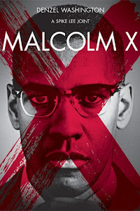 Malcolm X Poster