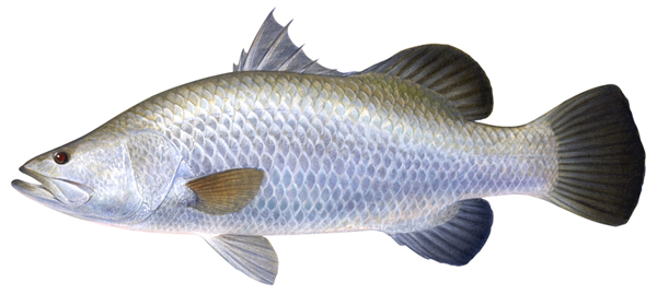 Bangladesh Development Studies: Freshwater Fish of Bangladesh