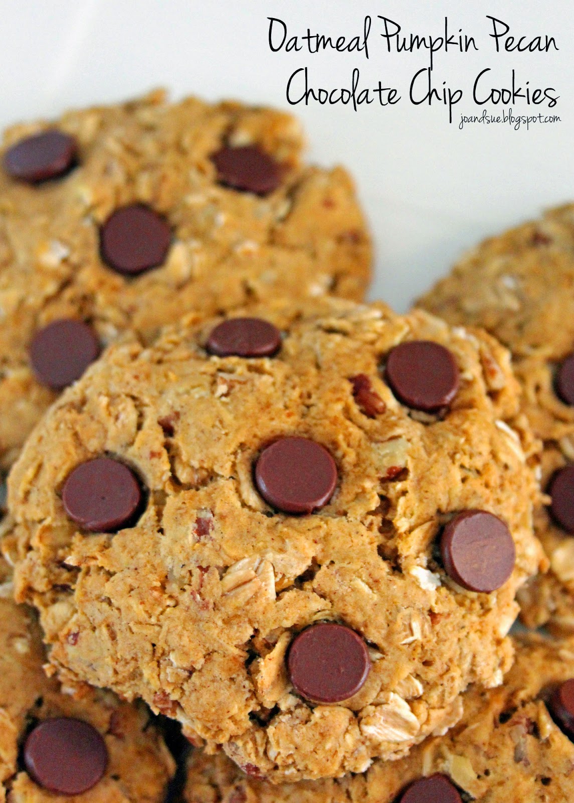 Jo and Sue Oatmeal Pumpkin Pecan Chocolate Chip Cookies
