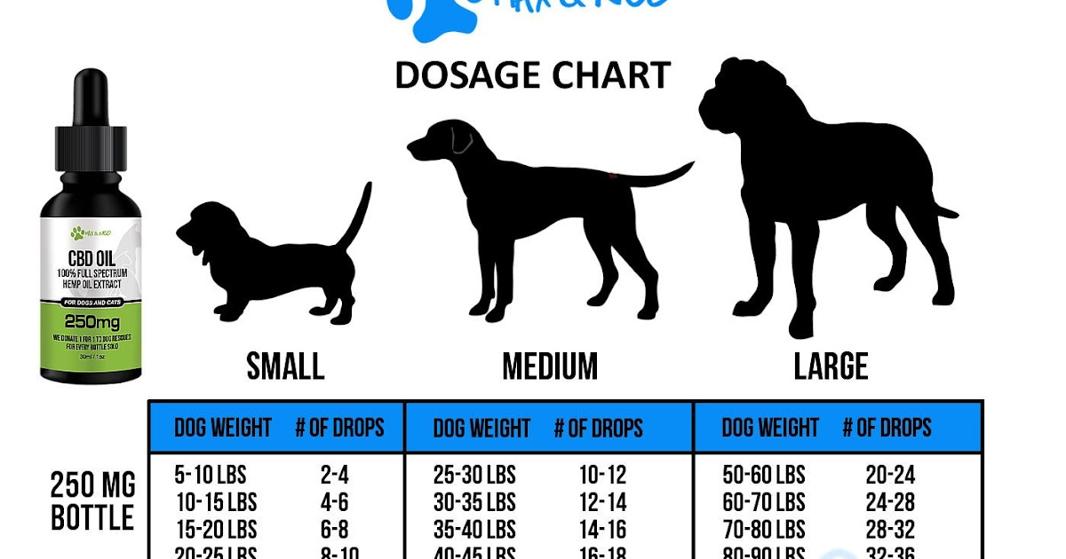 How Much CBD Oil Should You Give to Your Dog? Choosing the Right Dosage.