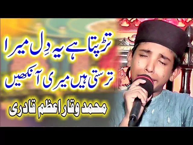 Nahi-hai-koi-duniya-mein-hamara-Lyrics-Waqar-Azam-Qadri