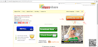 Zippyshare Screenshot 3