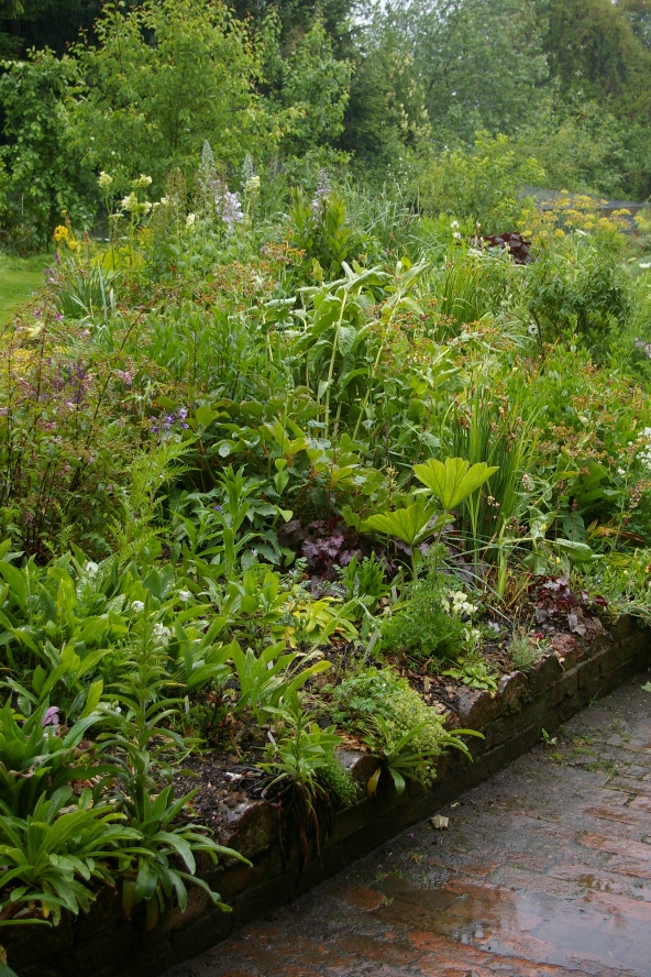 John Grimshaw's Garden Diary: A welcome wet day