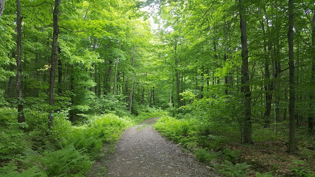 En direction vers le Sentier des Crêtes