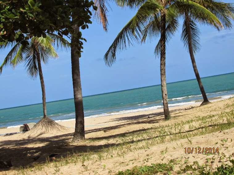 RECIFE-PRAIA DE BOA VIAGEM (Foto > Neca Machado)