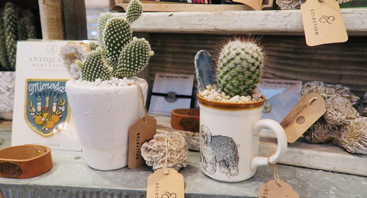 I Just Love Going To The Market Because You Can ALWAYS Find Unique Stuff! I Just Love Going To The Market Because You Can ALWAYS Find Unique Stuff!