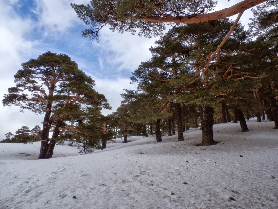 Un-paisaje-nevado-del-Camino-Schmidt-en-primavera
