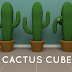 🖳 📱 Nicolet Cactus Cube