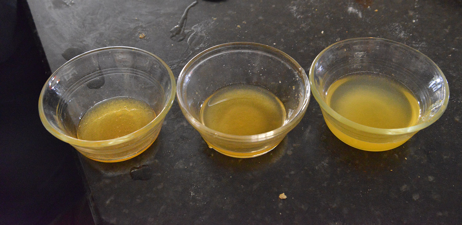 A school of fish Crystallized Honey experiments
