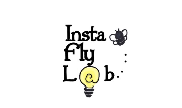 構図を気にして写真撮ってきました