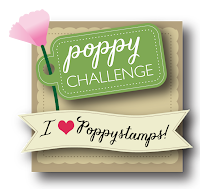 Poppystamps Challenges