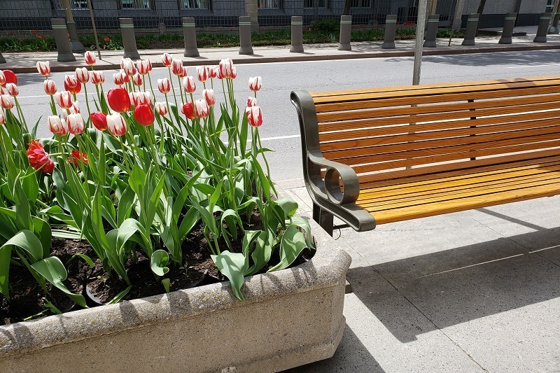 Concrete Planter