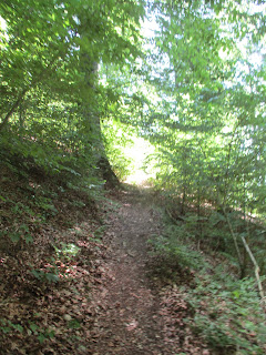 Die Schwabische Alb Und Ihre Natur Auf Dem Schwabische Alb