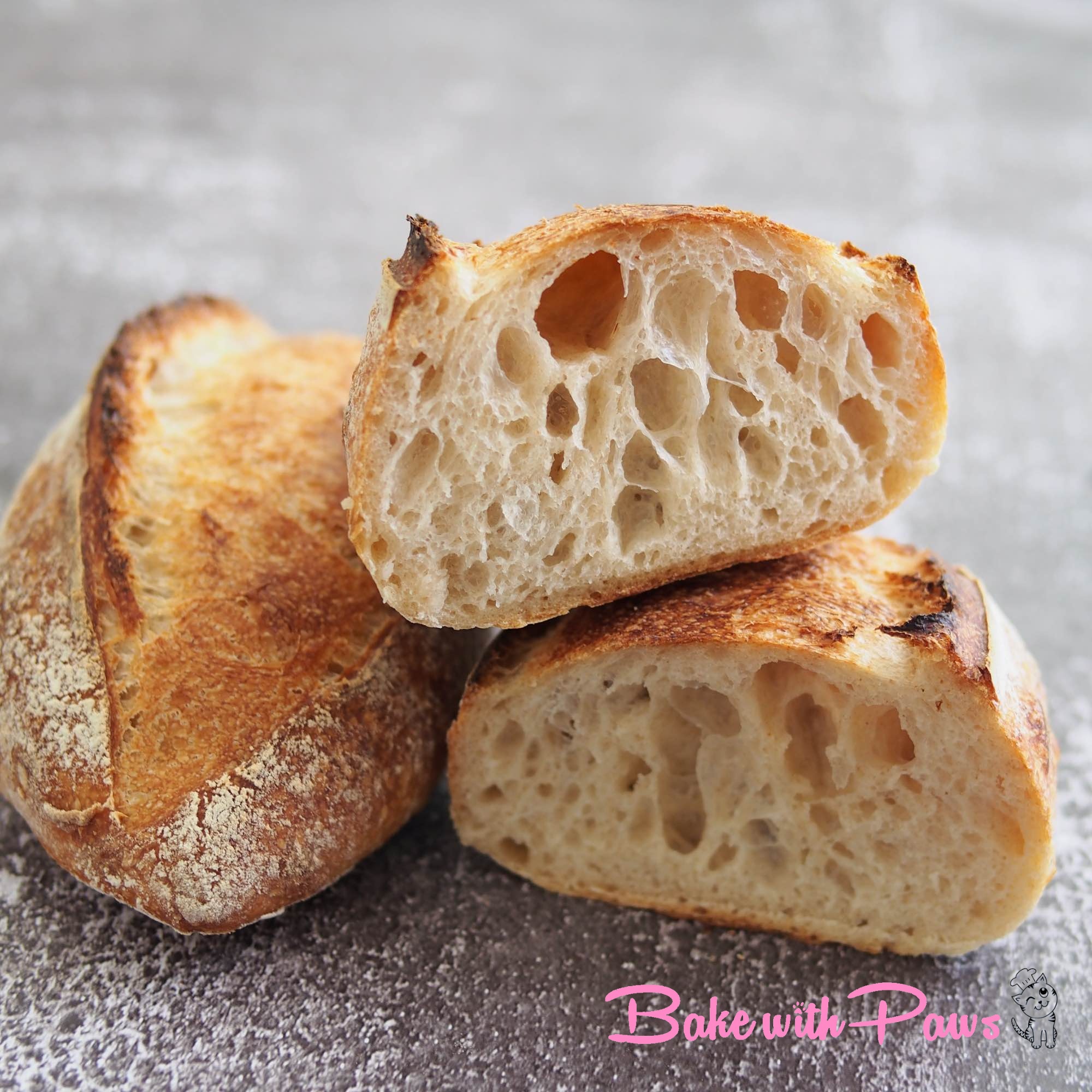 Sourdough Small Batard BAKE WITH PAWS