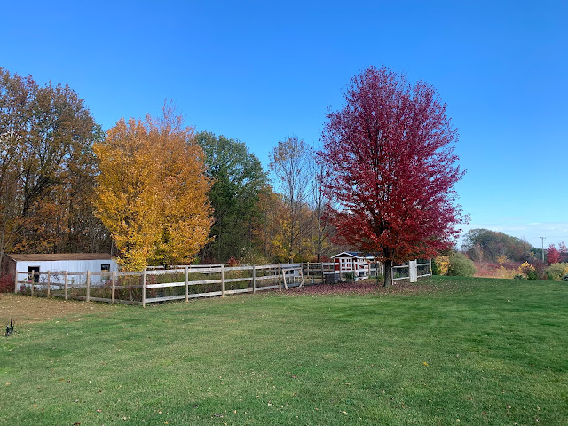 Ruple Farms in Fall