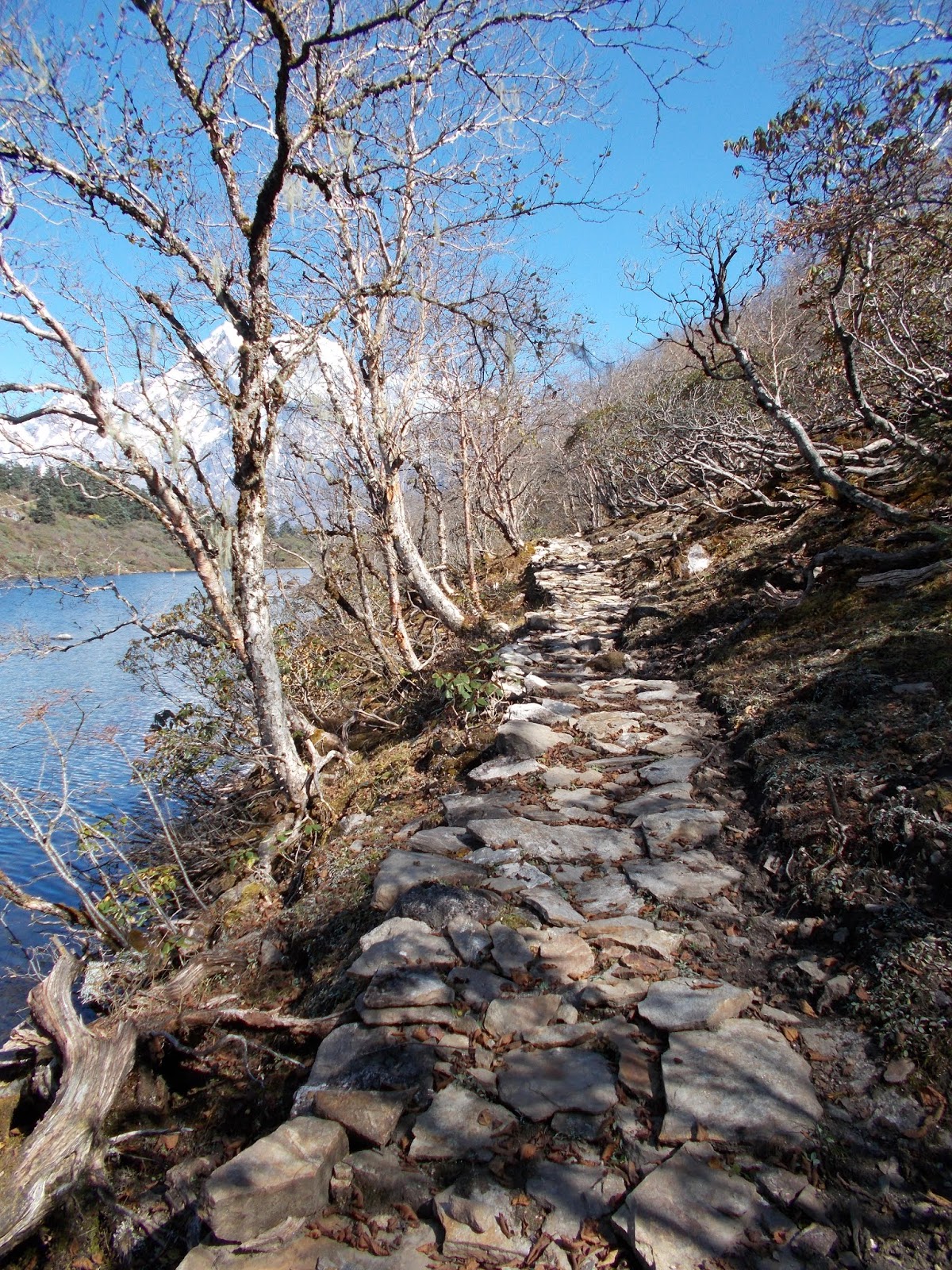 Вокруг Манаслу, долина Цум, Нар-Пу. Непал 2017.