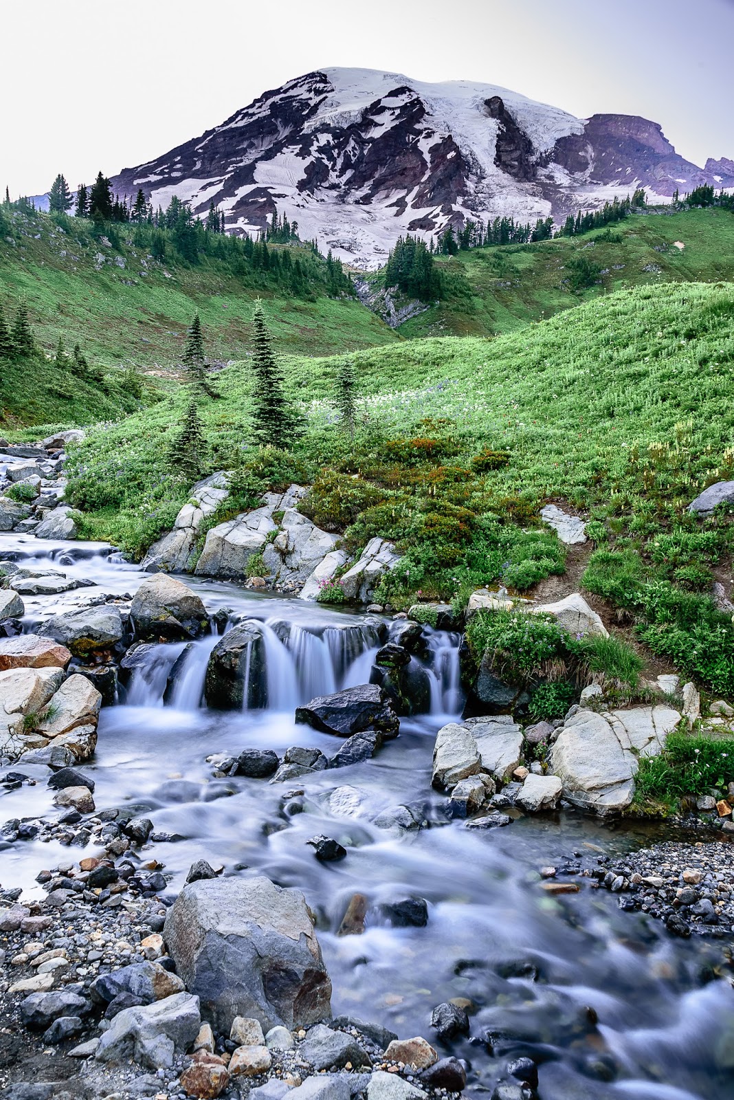 Mount Rainier Volunteers