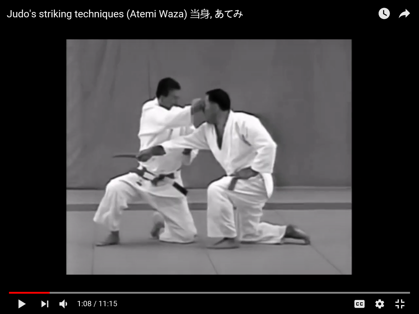 Isshin Concentration the Art Judo's striking techniques (Atemi Waza