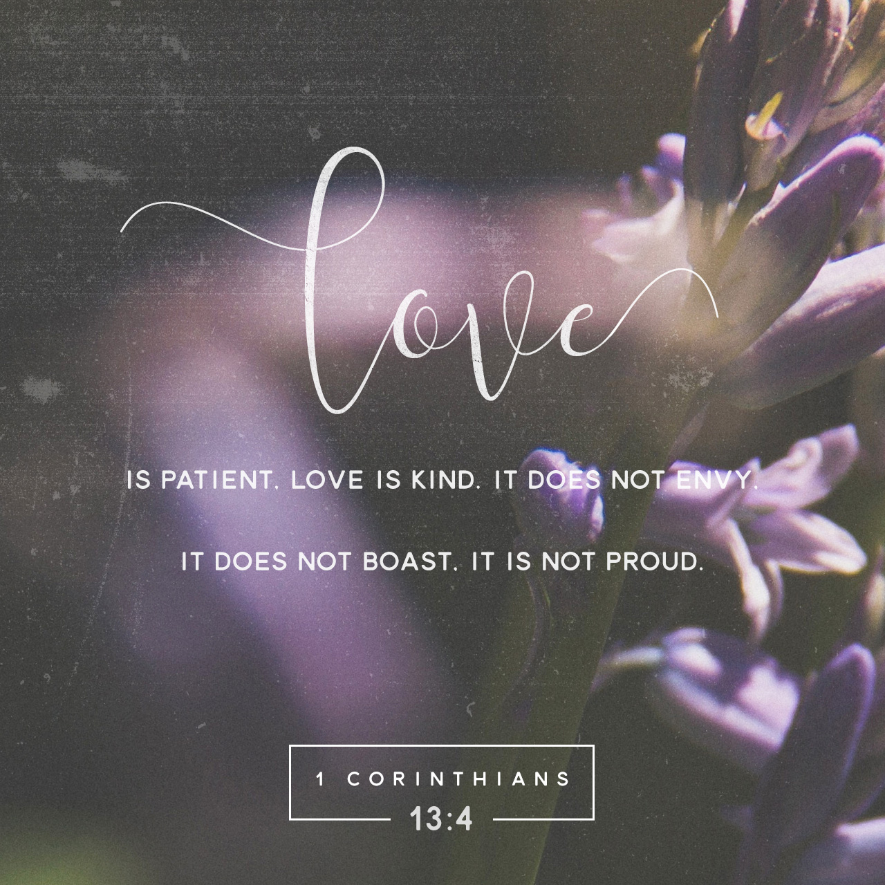 Love is not boastful or rude