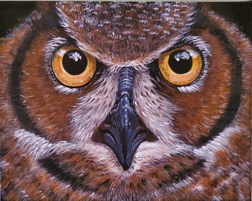 Owl