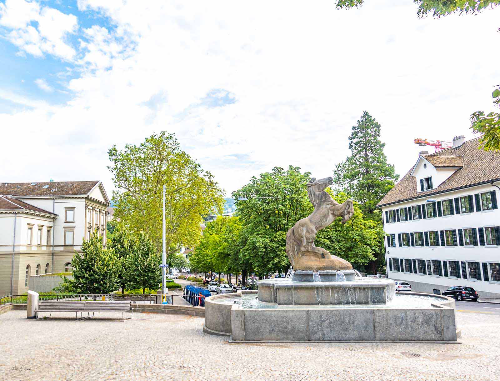 Freediving Zurich Mental Covid 19 Covid2019 Covid19 Coronavirus