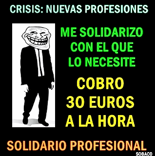 crisis solidario profesional nuevas profesiones