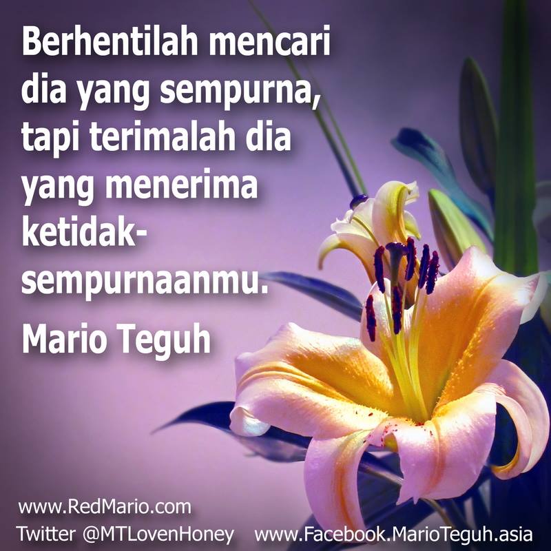 Image Result For Kata Bijak Kesabaran Mario Teguh Image Result For Kata Bijak Kesabaran Mario Teguh