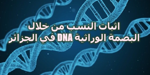 اثبات النسب من خلال البصمة الوراثية Dna في الجزائر