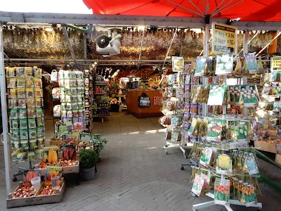 アムステルダムのチューリップ球根の市場
