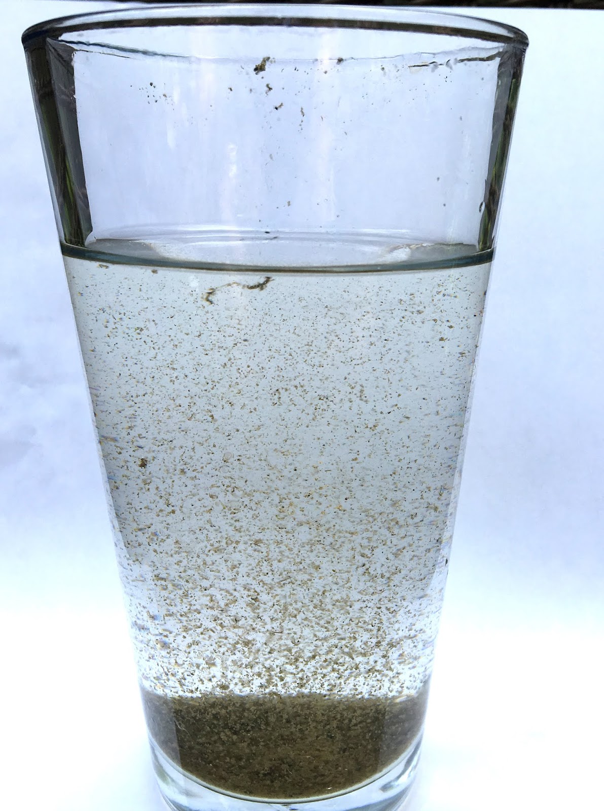 Why Is Your Pond Water Cloudy?