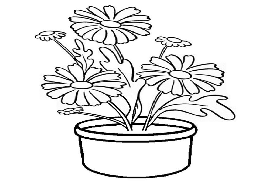  gambar bunga mewarnai tk 