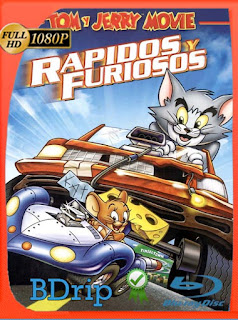 Tom y Jerry: Rápido y furioso (2005) BDRip [1080p] Latino [GoogleDrive] SXGO