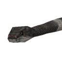 Malayan_Krait_Snake.png