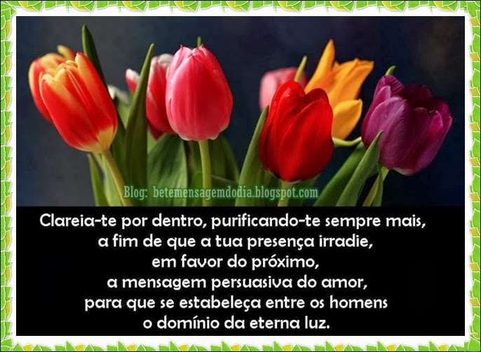 Mensagem do dia - Doutrina Espírita: Acalma-te