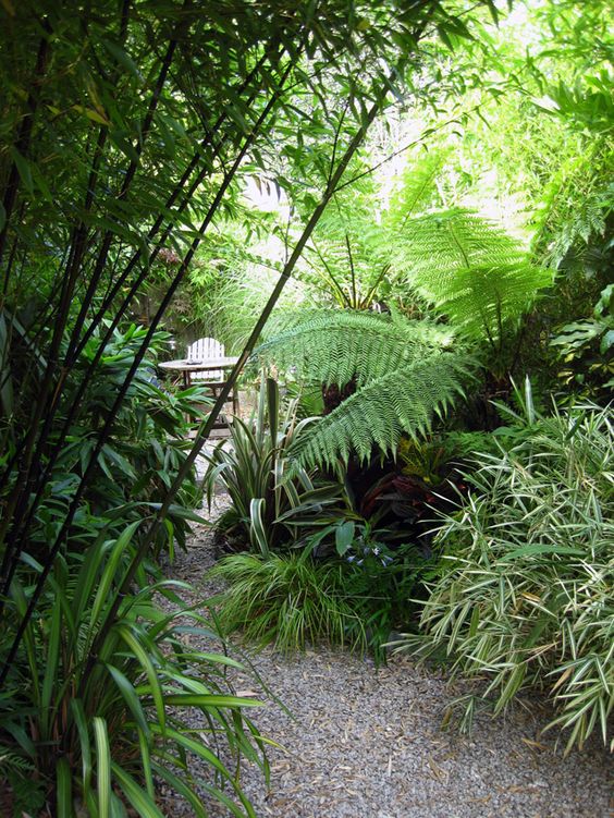 Moon to Moon Small Jungle Style Gardens