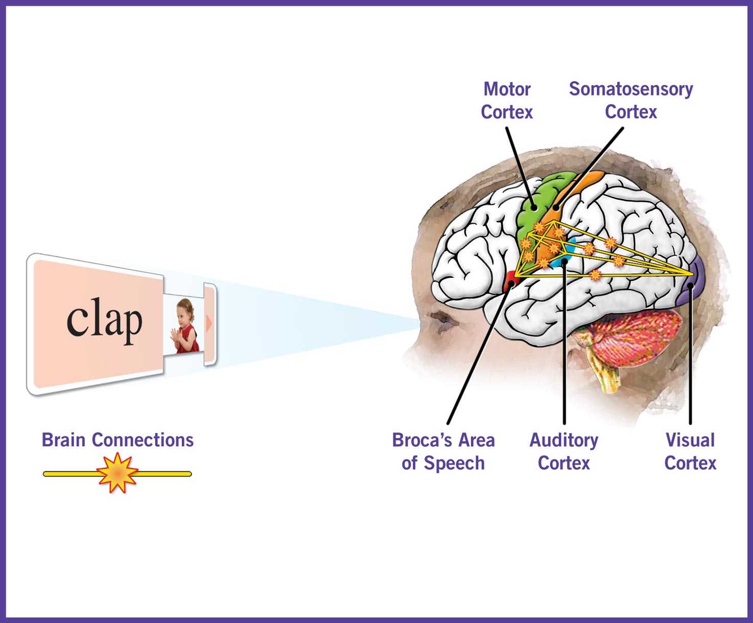 What is Multisensory Learning? Whole Brain Axiom