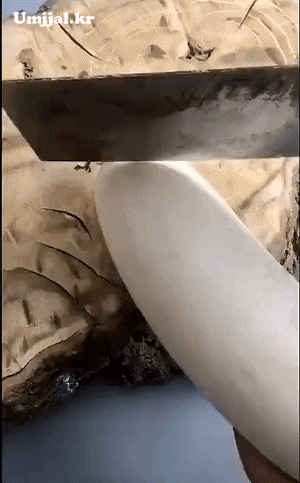 Umjjal_kr_852.gif