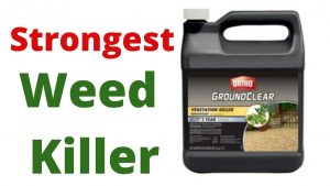 Strongest Weed Killer Buyer's Guide & Review 2020
