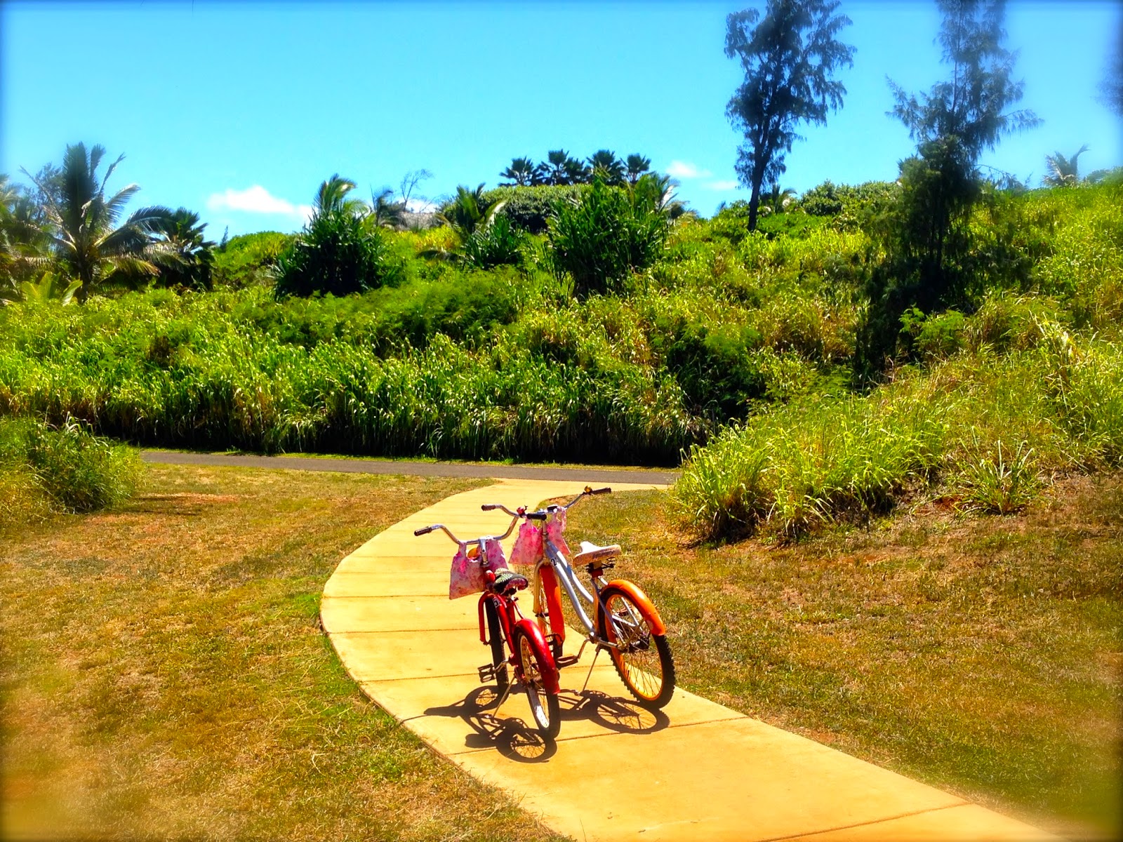 The Thrill on Berryhill....................... Kauai