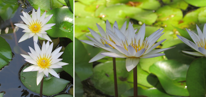 Valentina Vaguada: Visit Samaná, Dominican Rep. Casa EL ...