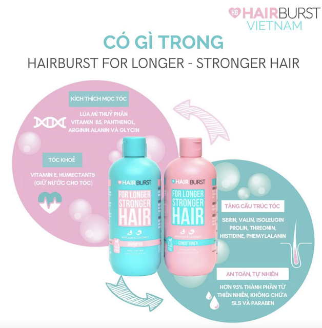 thanh phan cua bo dau goi xa hairburst