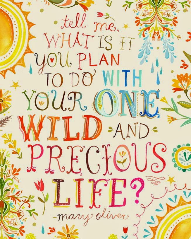 sarah wilson this one wild and precious life sarah wilson this one wild and precious life
