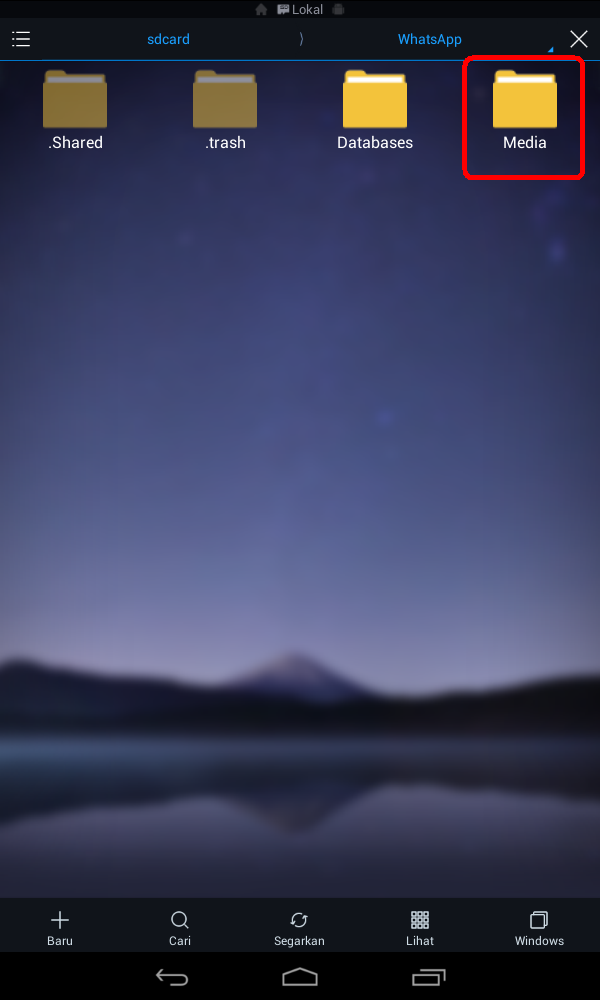 Cara Melihat Status Whatsapp Dan Menyimpan File Nya Android Ponselku